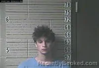 Mugshot of BRIAN AUSTIN HANNAH booked in Lawrence County, Tennessee on June 21, 2026