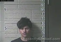Mugshot of ABILIO H TEJEDA CHAVEZ booked in Lawrence County, Tennessee on May 2, 2026