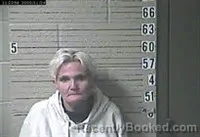Mugshot of LISA MARIE FRALIX booked in Lawrence County, Tennessee on June 14, 2026