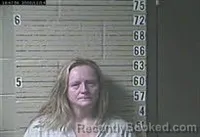 Mugshot of JENNIFER LIN HOLT booked in Lawrence County, Tennessee on July 4, 2026