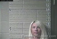 Mugshot of BRITTANY ANN BROWN booked in Lawrence County, Tennessee on August 2, 2026