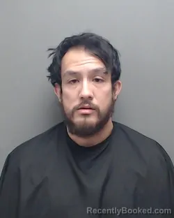 Mugshot of FIDEL PEREZ