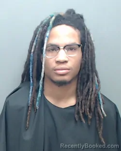 Mugshot of MICHAEL EVERETT RICHARDSON