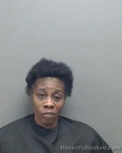 Mugshot of MARYANN CHRISTINA HAYWOOD