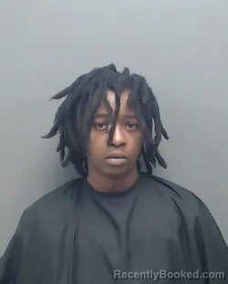 Mugshot of MEAGAN ALEISHA ROSTON
