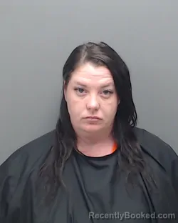 Mugshot of BRITTANY PAIGE DAVIDSON