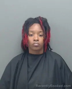 Mugshot of KIARA BR'ASHAE RIDER