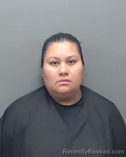 Mugshot of MIRELLA VILLEGAS booked in Harrison County, Texas on March 26, 2026