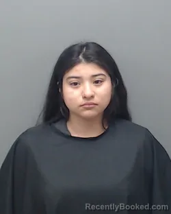 Mugshot of FABIOLA CAPISTAN booked in Harrison County, Texas on March 29, 2026