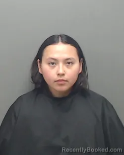 Mugshot of NOEMY ABIGAIL HERNANDEZ booked in Harrison County, Texas on April 24, 2026