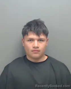 Mugshot of ANDY LORENZO RAMOS-ALVAREZ booked in Harrison County, Texas on April 25, 2026