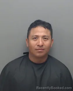 Mugshot of YANY ALEXANDER RAMIREZ-HERNANDEZ booked in Harrison County, Texas on May 5, 2026