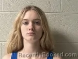 Mugshot of Alexis Lynn Johnson booked in Lincoln County, Tennessee on October 4, 2026