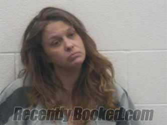 Booking photo from Loudon County, Tennessee