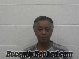 Booking photo from Loudon County, Tennessee