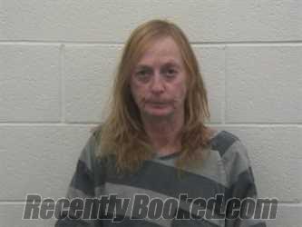 Booking photo from Loudon County, Tennessee