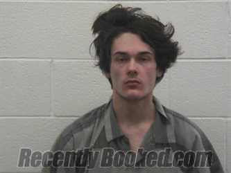 Booking photo from Loudon County, Tennessee