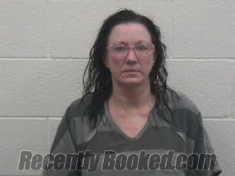 Booking photo from Loudon County, Tennessee
