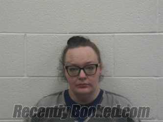 Booking photo from Loudon County, Tennessee