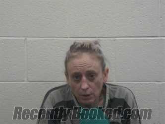 Booking photo from Loudon County, Tennessee