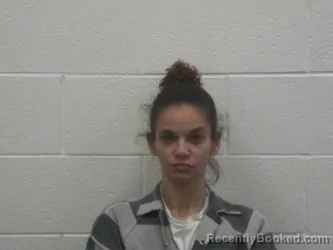 Booking photo from Loudon County, Tennessee