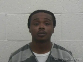 Booking photo from Loudon County, Tennessee