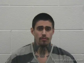 Booking photo from Loudon County, Tennessee