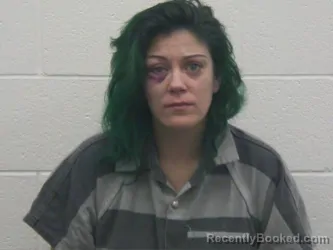 Booking photo from Loudon County, Tennessee