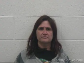 Booking photo from Loudon County, Tennessee