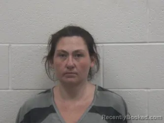 Mugshot of ROBIN NICOLE HOPKINS