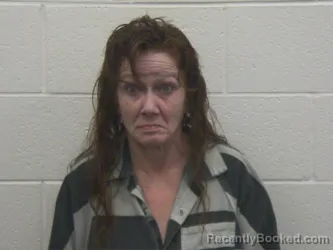 Mugshot of LISA ANN LAWSON
