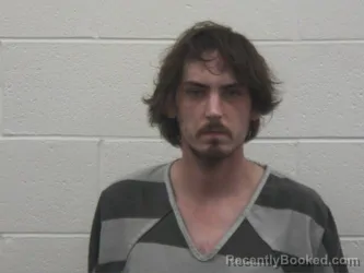 Mugshot of DILLON LEIGH DISNEY