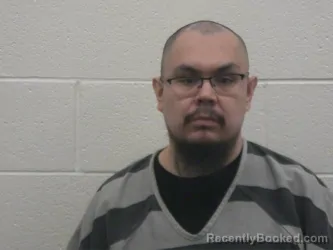 Mugshot of LUIS ALFREDO VIERA