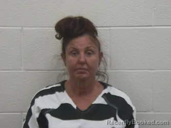 Mugshot of HEATHER RENEE HENSLEY