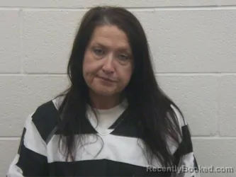 Mugshot of SHANNON RENEE GIBSON