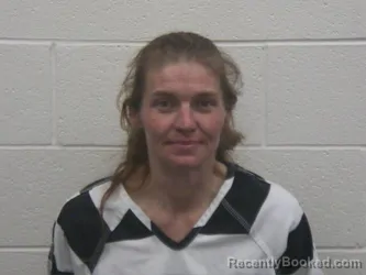 Mugshot of JESSICA RENEE LAWSON booked in Loudon County, Tennessee on April 3, 2026