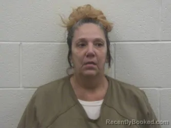 Mugshot of MICHELLE RENEE TOLLEY booked in Loudon County, Tennessee on April 20, 2026