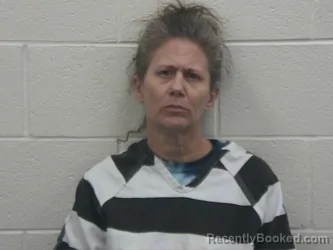 Mugshot of BRANDIE INEZ HENDERSON booked in Loudon County, Tennessee on April 29, 2026