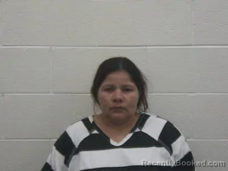 Mugshot of DARLING GARCIA CASTELLON booked in Loudon County, Tennessee on May 3, 2026
