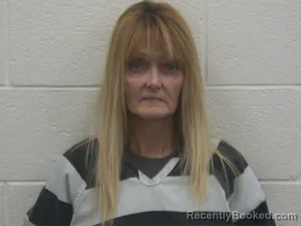 Mugshot of ELIZABETH ANN MOSER booked in Loudon County, Tennessee on June 3, 2026