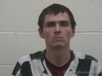 Mugshot of AUSTIN RAY LEE booked in Loudon County, Tennessee on June 4, 2026