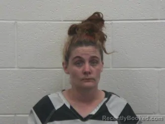 Mugshot of ERICA LYNN STOKES booked in Loudon County, Tennessee on June 13, 2026