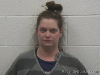 Mugshot of CHRISTINA DANIELLE NORRIS booked in Loudon County, Tennessee on June 15, 2026