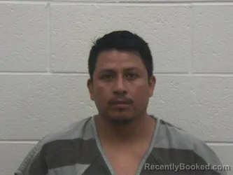 Mugshot of LUIS PERFECTO ENRIQUE booked in Loudon County, Tennessee on June 16, 2026
