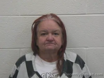 Booking photo from Loudon County, Tennessee