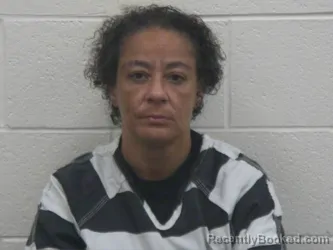 Mugshot of MARY ELAINE WILLIS booked in Loudon County, Tennessee on June 20, 2026