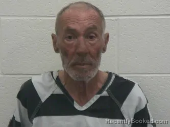 Mugshot of LUTHER SHANNON WEBB booked in Loudon County, Tennessee on June 30, 2026