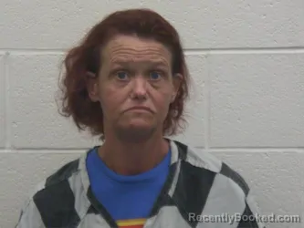 Mugshot of RHONDA ANN CHAPMAN booked in Loudon County, Tennessee on July 4, 2026
