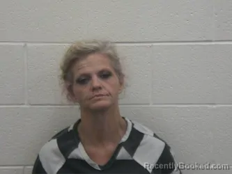 Mugshot of HEATHER MARIE SCHLICHTING booked in Loudon County, Tennessee on July 7, 2026