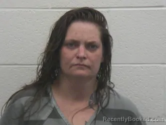 Mugshot of CHRISTINA DANIELLE NORRIS booked in Loudon County, Tennessee on July 8, 2026